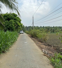 Đất nền Chợ Gạo 